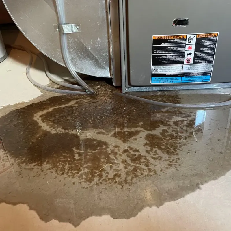 Pipe Burst and Leak Restoration in Santo Domingo Pueblo, NM